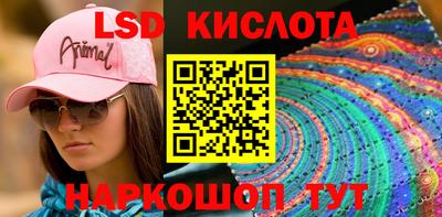 прущие грибы Будённовск