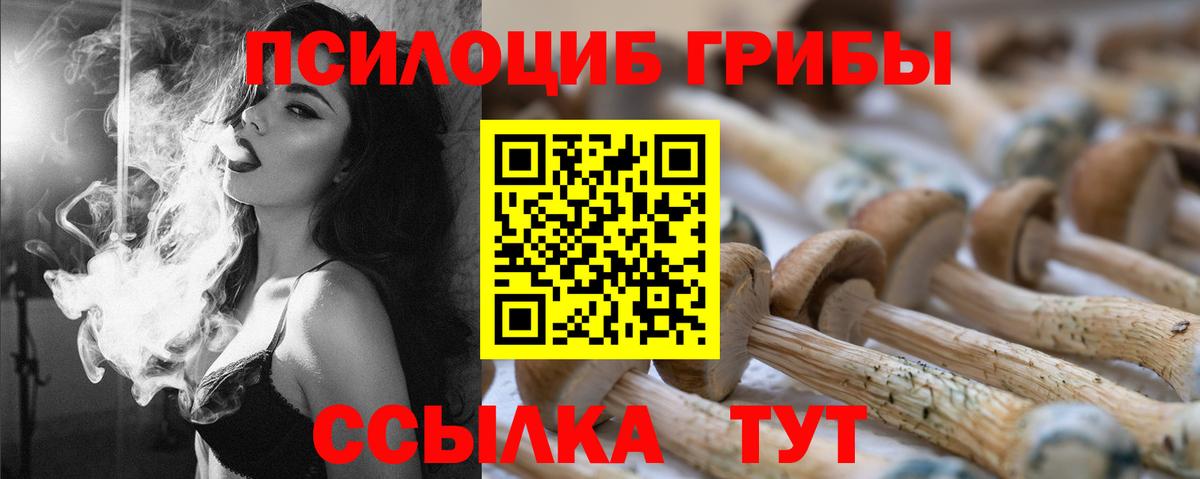 Борзя  Псилоцибиновые грибы MAGIC MUSHROOMS  Вход с VPN 
