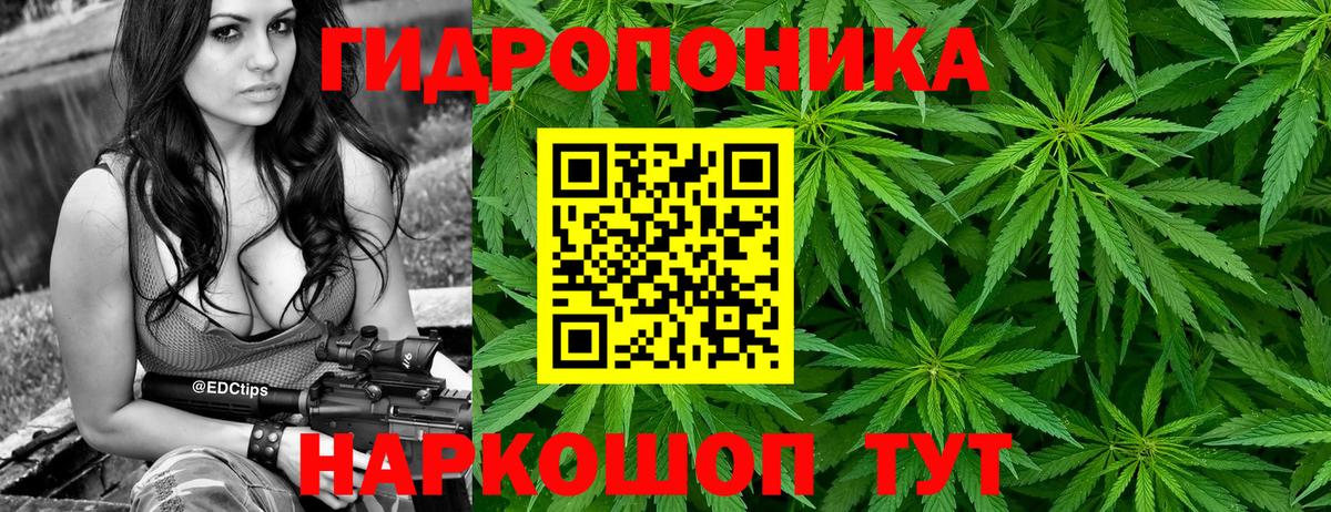 Бошки марихуана Ganja Борзя